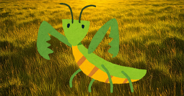 カマキリイメージ