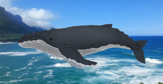 クジライメージ