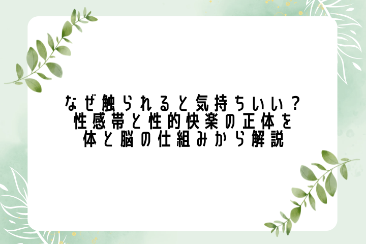 なぜ触られると気持ちいい?性感帯と性的快楽の正体を体と脳の仕組みから解説