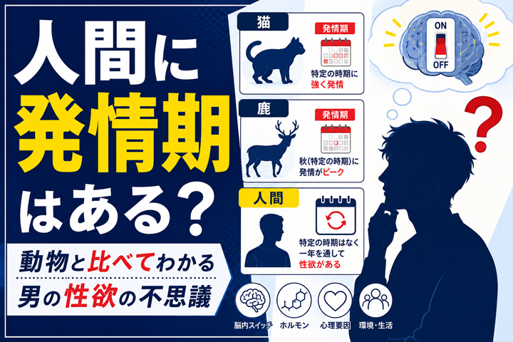 人間に発情期はあるのか?動物と比べてわかる「年中ムラムラできる男」の不思議